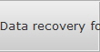 Data recovery for Orient data